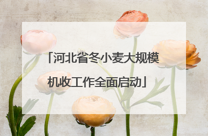 河北省冬小麦大规模机收工作全面启动