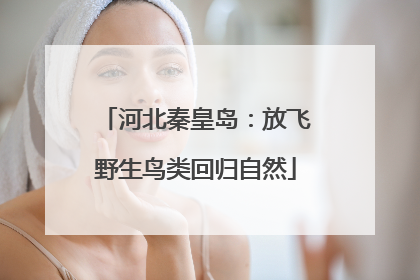 河北秦皇岛：放飞野生鸟类回归自然