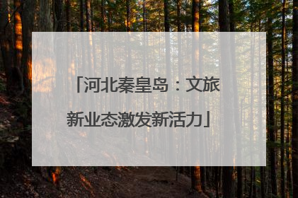 河北秦皇岛：文旅新业态激发新活力
