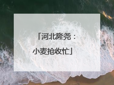 河北隆尧：小麦抢收忙