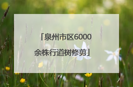泉州市区6000余株行道树修剪