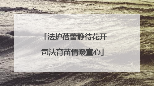 法护蓓蕾静待花开 司法育苗情暖童心