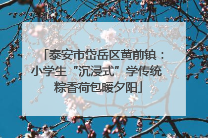 泰安市岱岳区黄前镇：小学生“沉浸式”学传统 粽香荷包暖夕阳
