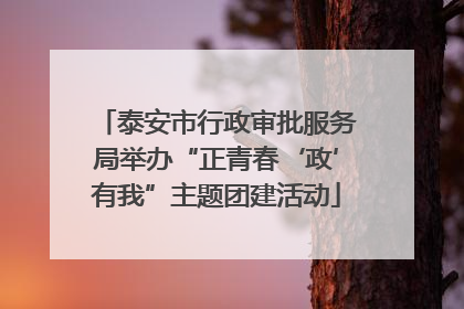 泰安市行政审批服务局举办“正青春‘政’有我”主题团建活动