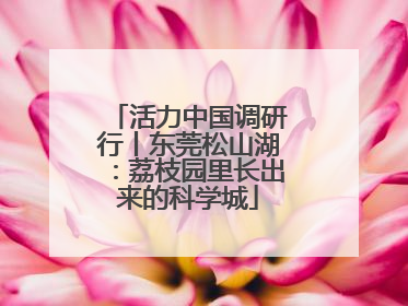 活力中国调研行丨东莞松山湖：荔枝园里长出来的科学城