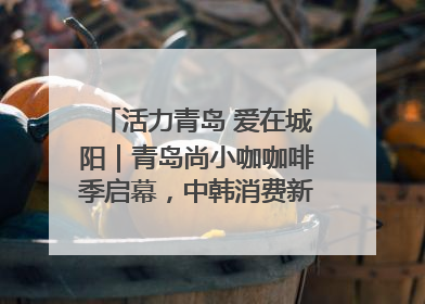 活力青岛 爱在城阳｜青岛尚小咖咖啡季启幕，中韩消费新场景点燃夏日热情
