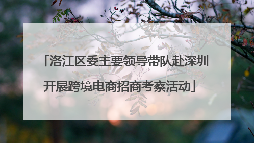 洛江区委主要领导带队赴深圳开展跨境电商招商考察活动