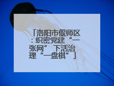 洛阳市偃师区：织密党建“一张网” 下活治理“一盘棋”