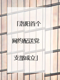 洛阳首个网约配送党支部成立