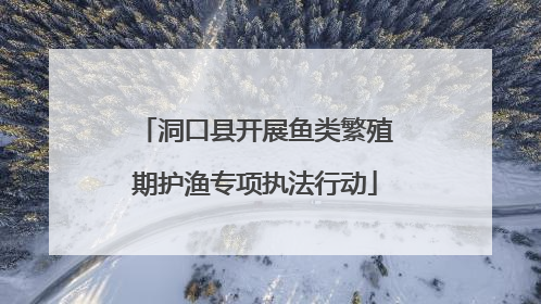 洞口县开展鱼类繁殖期护渔专项执法行动