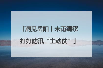 洞见岳阳丨未雨绸缪 打好防汛“主动仗”