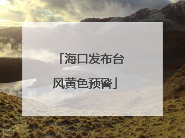 海口发布台风黄色预警