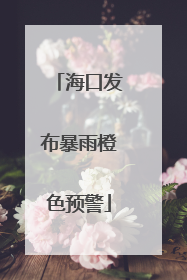 海口发布暴雨橙色预警