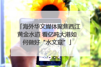 海外华文媒体聚焦西江黄金水道 看亿吨大港如何做好“水文章”