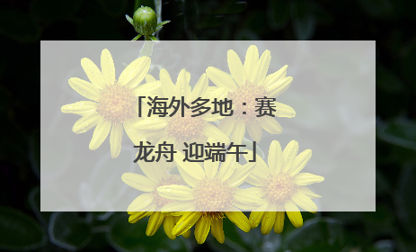 海外多地：赛龙舟 迎端午