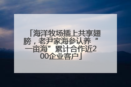海洋牧场插上共享翅膀，老尹家海参认养“一亩海”累计合作近200企业客户