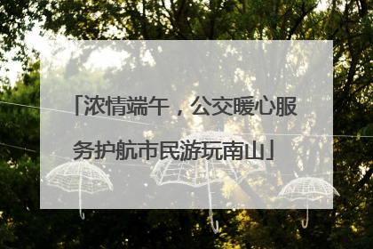 浓情端午，公交暖心服务护航市民游玩南山