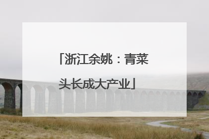 浙江余姚：青菜头长成大产业
