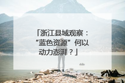 浙江县域观察：“蓝色资源”何以动力澎湃？