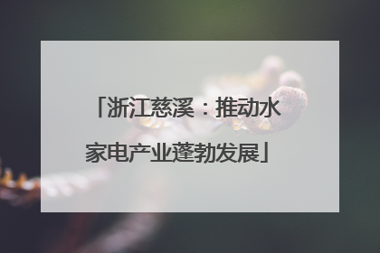 浙江慈溪：推动水家电产业蓬勃发展