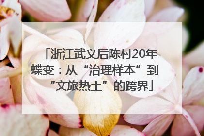 浙江武义后陈村20年蝶变：从“治理样本”到“文旅热土”的跨界