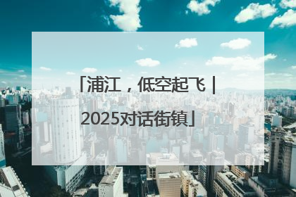 浦江，低空起飞｜2025对话街镇