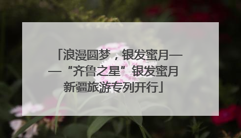 浪漫圆梦，银发蜜月——“齐鲁之星”银发蜜月新疆旅游专列开行