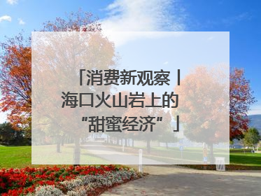 消费新观察丨海口火山岩上的“甜蜜经济”