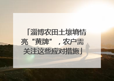 淄博农田土壤墒情亮“黄牌”，农户需关注这些应对措施