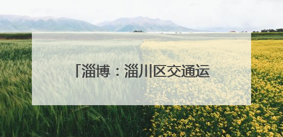 淄博：淄川区交通运输监察大队开展校园周边网约车专项整治