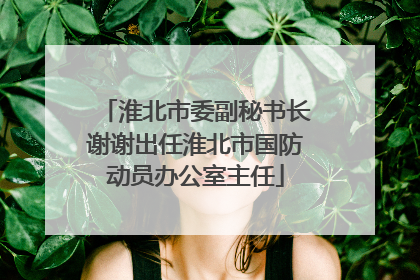 淮北市委副秘书长谢谢出任淮北市国防动员办公室主任