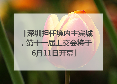 深圳担任境内主宾城，第十一届上交会将于6月11日开幕