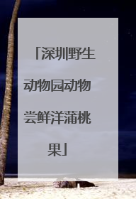 深圳野生动物园动物尝鲜洋蒲桃果