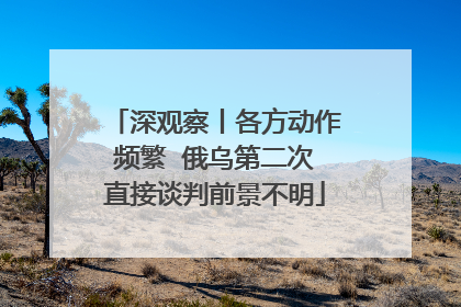深观察丨各方动作频繁  俄乌第二次直接谈判前景不明