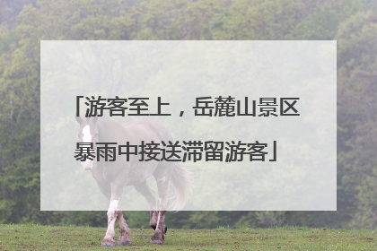 游客至上，岳麓山景区暴雨中接送滞留游客