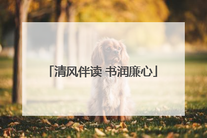 清风伴读 书润廉心