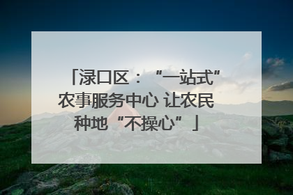 渌口区：“一站式”农事服务中心 让农民种地“不操心”