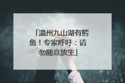 温州九山湖有鳄鱼！专家呼吁：请勿随意放生