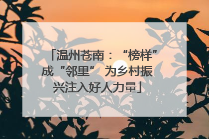 温州苍南：“榜样”成“邻里” 为乡村振兴注入好人力量