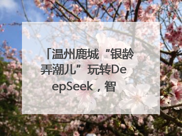 温州鹿城“银龄弄潮儿”玩转DeepSeek，智慧生活触手可及
