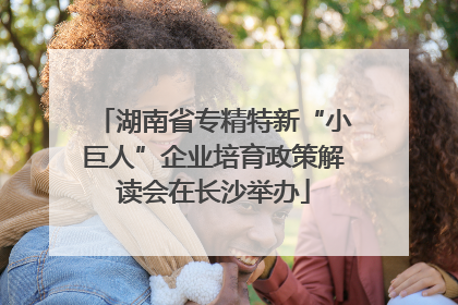 湖南省专精特新“小巨人”企业培育政策解读会在长沙举办