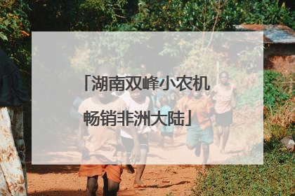 湖南双峰小农机畅销非洲大陆