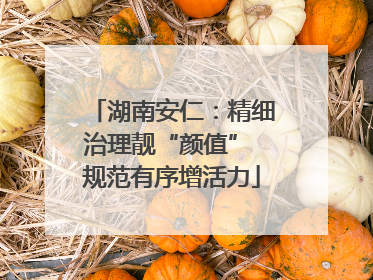 湖南安仁：精细治理靓“颜值” 规范有序增活力
