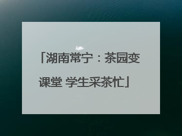 湖南常宁：茶园变课堂 学生采茶忙