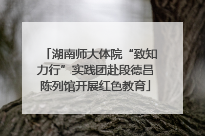 湖南师大体院“致知力行”实践团赴段德昌陈列馆开展红色教育