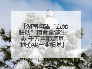 湖南构建“五优联动”粮食全链生态 千万亩粮源基地夯实产业根基