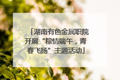 湖南有色金属职院开展“粽情端午，青春飞扬”主题活动