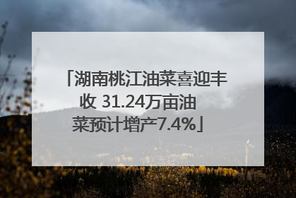 湖南桃江油菜喜迎丰收 31.24万亩油菜预计增产7.4%