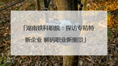 湖南铁科职院：探访专精特新企业 解码职业新图景