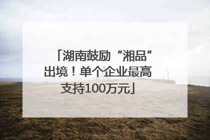 湖南鼓励“湘品”出境！单个企业最高支持100万元